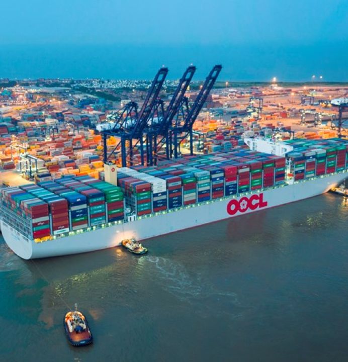 GIÁM ĐỊNH VÀ TƯ VẤN DỰ ÁN